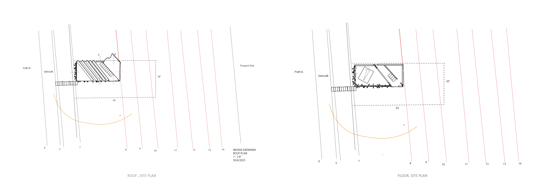 Roof and Plan