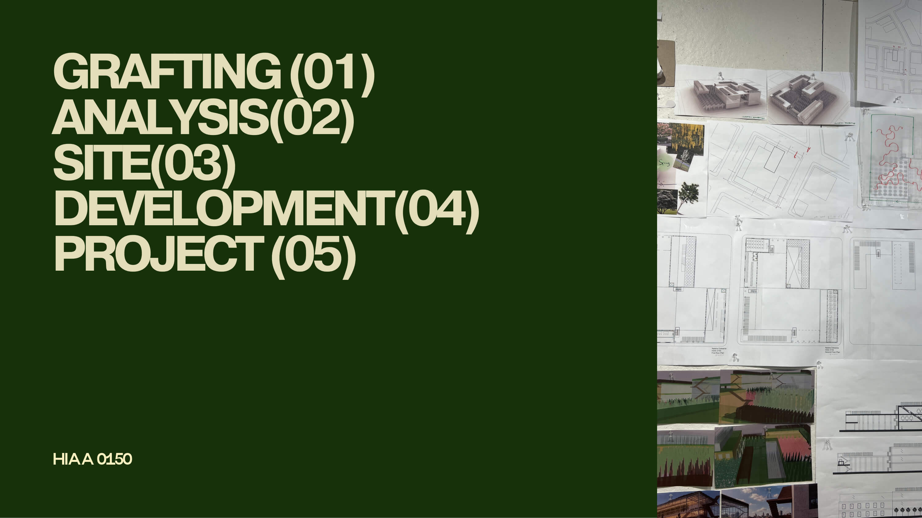 Slide 02